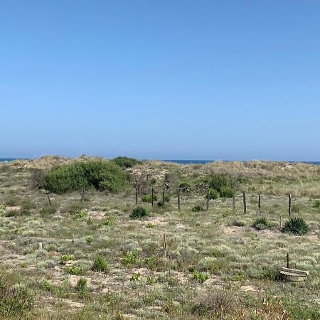 Mon Petit Paradis, Vue Sur Dunes Et Mer, Acces Direct Plage Robinson, Terrasse, Parking Prive, Tres Ressourcant, A Marseillan Plage 外观 照片
