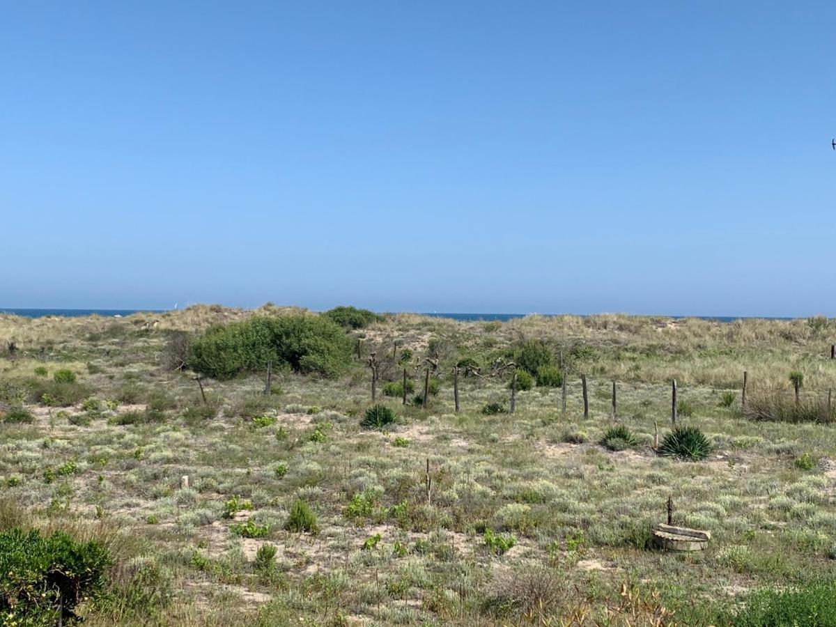 Mon Petit Paradis, Vue Sur Dunes Et Mer, Acces Direct Plage Robinson, Terrasse, Parking Prive, Tres Ressourcant, A Marseillan Plage 外观 照片